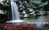 /album/fotogaleria-nosotros/manantial-jpg/